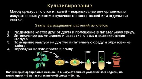 Методы и условия культивирования изолированных клеток и тканей растений ...
