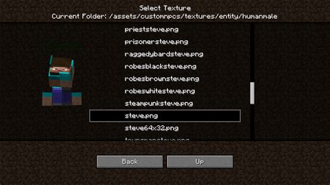 Image result for Custom NPC Scripts