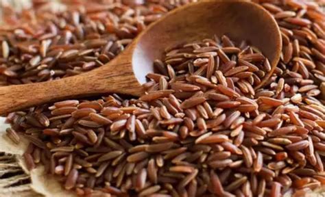Organic Red Rice – GreenDNA® India