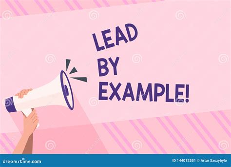 Follow the Example 的图像结果