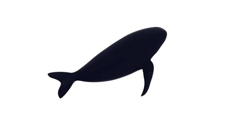 Image result for Whale 3D Tutorial SolidWorks