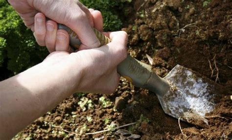 Image result for How to Take Soil Sample for Testing