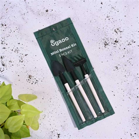 Buy High-quality Garden tools online | Enhance your gardening ...