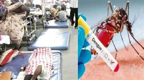 Kerala sees rise in fever, dengue and H1N1 cases, 11,050 persons seek ...