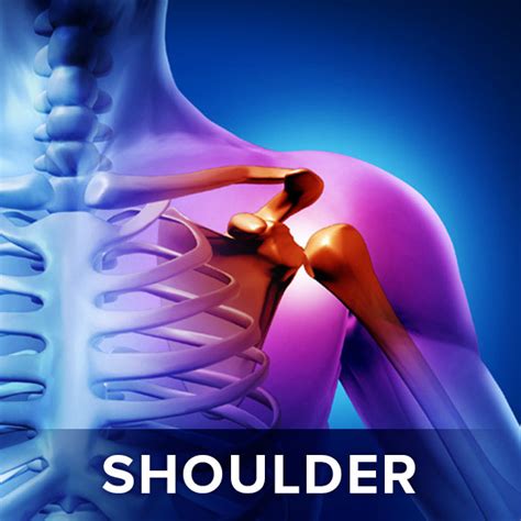 Image result for Shoulder Exercise On Cable Machine