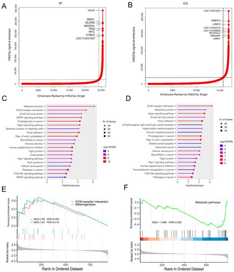 Genome-Wide Acetylation Modification of H3K27ac in Bovine Rumen Cell ...