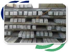 Stainless Steel 304L Round Bar and ASTM A276 Type 304L Rod/ Flat/ Hex