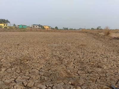 1000 Sq-ft Residential Plot & Land for Sale in Ranjanpada Kharghar,Navi ...