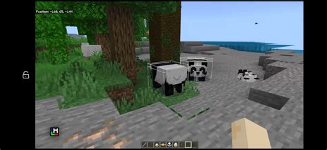 Image result for How to Use Scripts in Minecraft