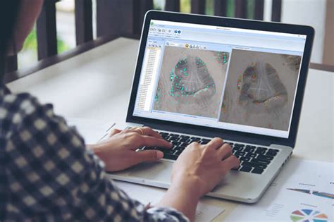 Digital Photogrammetry 的图像结果