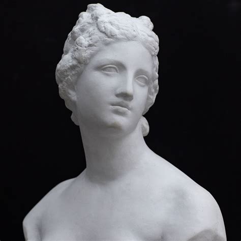 Statues Of Venus at Alejandra Henning blog