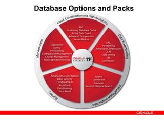 Database Options 的图像结果