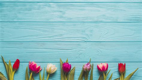 Download wallpaper Flowers, Tulips, Background, Buds, section flowers ...