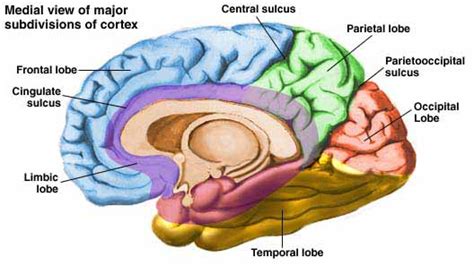 Image result for Cortex-R Vector Table
