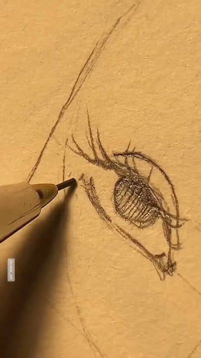 Image result for Beginner Face Drawing Tutorial