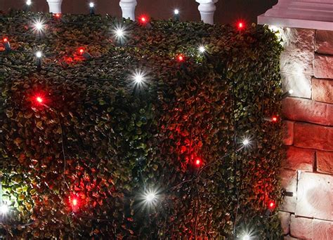 Image result for Programmable Net Lights