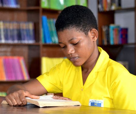 Image result for Learn-Rite for SHS