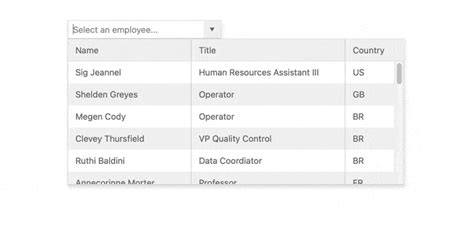 Image result for Angular ComboBox
