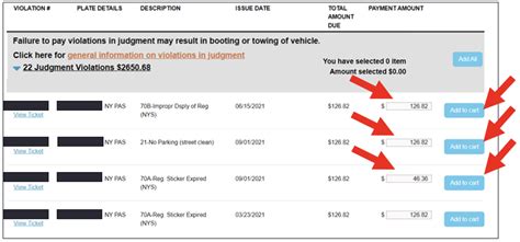 Chicago Parking Ticket Payment Plan - QGMHTP