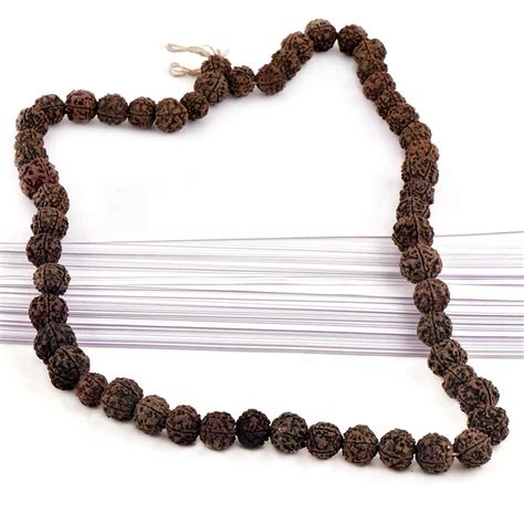 Rudraksha Mala for Shiv Pooja