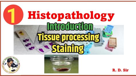 Tissue Processing Procedure 的图像结果