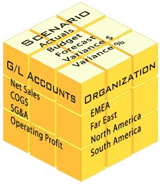 Visual FoxPro OLAP Cube 的图像结果