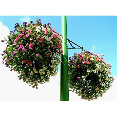 Soil Moist 1-lb Synthetic Polymer Moisture Control JCD-100SMJ at Lowes.com