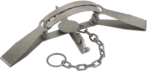 Bear Traps — Duke Traps