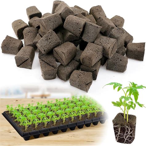 Amazon.com : 50 Pcs Seed Starter Sponges Pods, Rapid Peat Moss Rooter ...