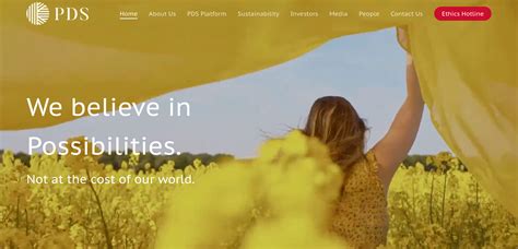 PDS Limited reports 24% topline growth in FY25 Q1