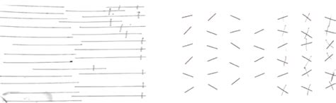 Image result for Line Bisection Test