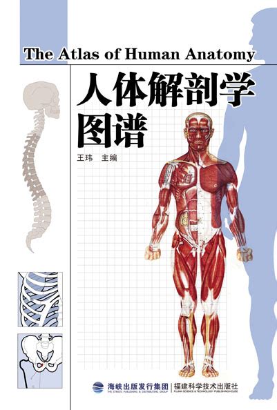 人体解剖学图谱_西医西药_医学_联系我们-缅甸99小勐拉厅客服微信-18488339163