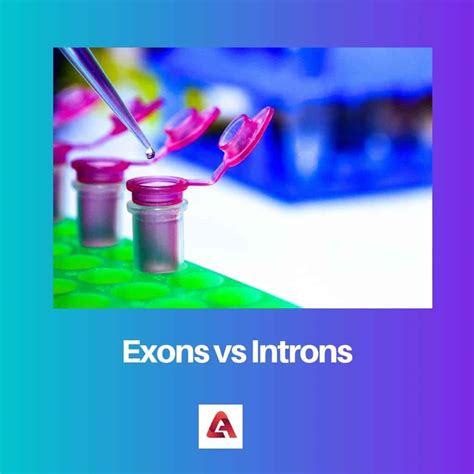 Exons vs Introns: Difference and Comparison