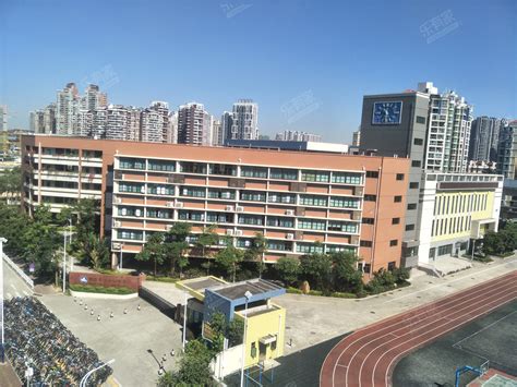 珠海市第十中学丙烯酸篮球场1100平方,壮宸劲豹 水性丙烯酸球场涂料厂家
