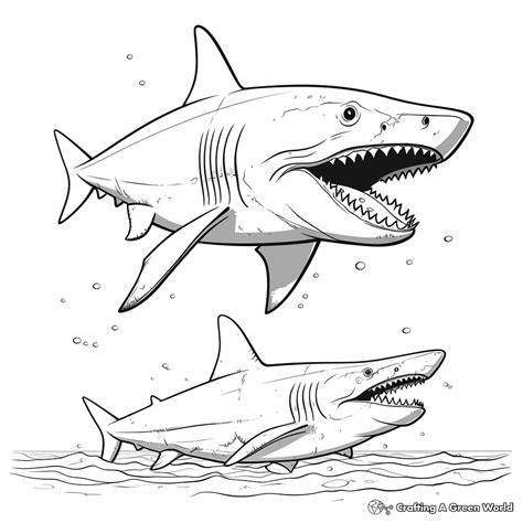 Megalodon Coloring Pages - Free & Printable!