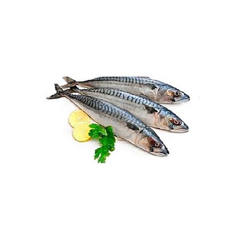 Buy Fresh Catch Fish Indian Mackeral Large 1 Kg Online at the Best ...