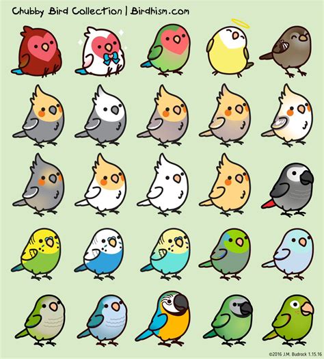 bird drawing kawaii