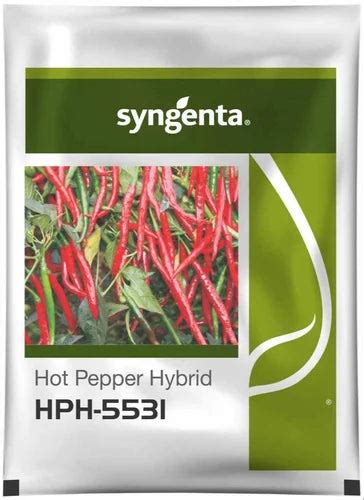 Buy Syngenta HPH 5531 Chilli Seeds Online at Best Price | BigHaat