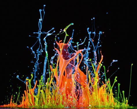 Fluorescence Versus Phosphorescence