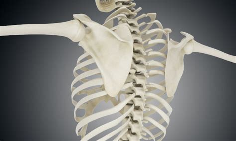 Día Mundial de Osteoporosis