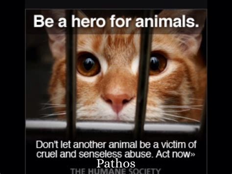 Image result for Example of Pathos Commercial