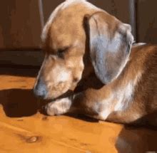 Image result for Meme JavaScript Eqal