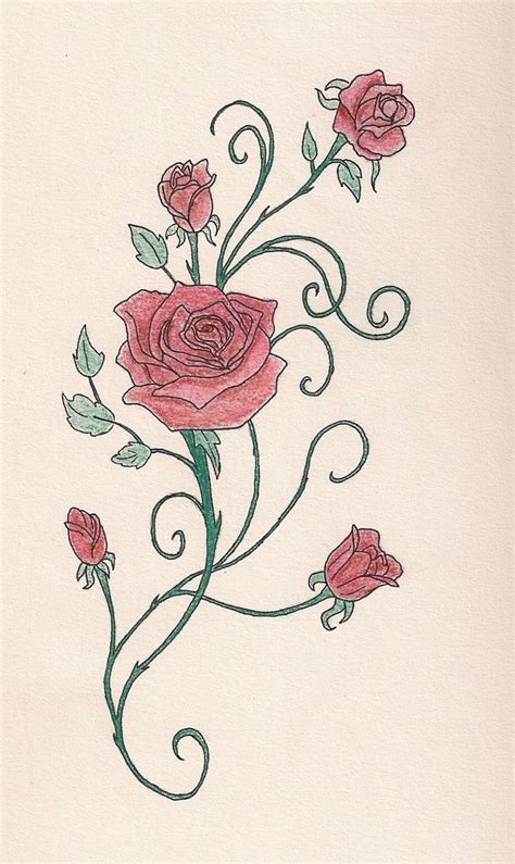 Rose Vine Drawing at PaintingValley.com | Explore collection of Rose ...