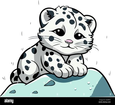 Baby Snow Leopard Drawing Snow Leopard Giclée Print | Alan Taylor Art