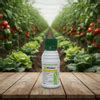 Syngenta Ekalux (Quinalphos 25% EC) Insecticide – Agriplex