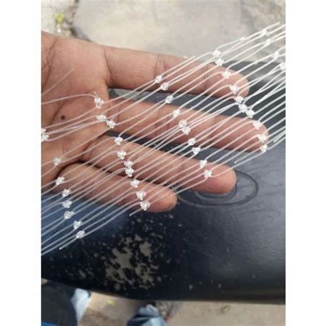 Bird Netting Services - Transparent Anti Bird Net Service Provider from ...