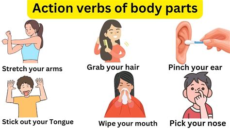 Image result for Codean