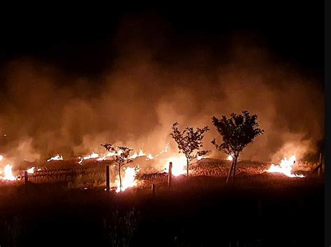 Experts call stubble burning only part of problem; long-term ...