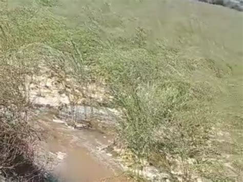 A gap in the minor canal of Tharad's Interol, causing huge loss to the ...