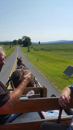 Bonnymeed Farm - Antietam Horse & Carriage Guided Tours (Sharpsburg ...